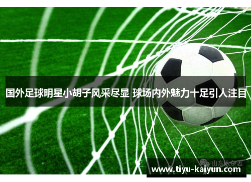 国外足球明星小胡子风采尽显 球场内外魅力十足引人注目